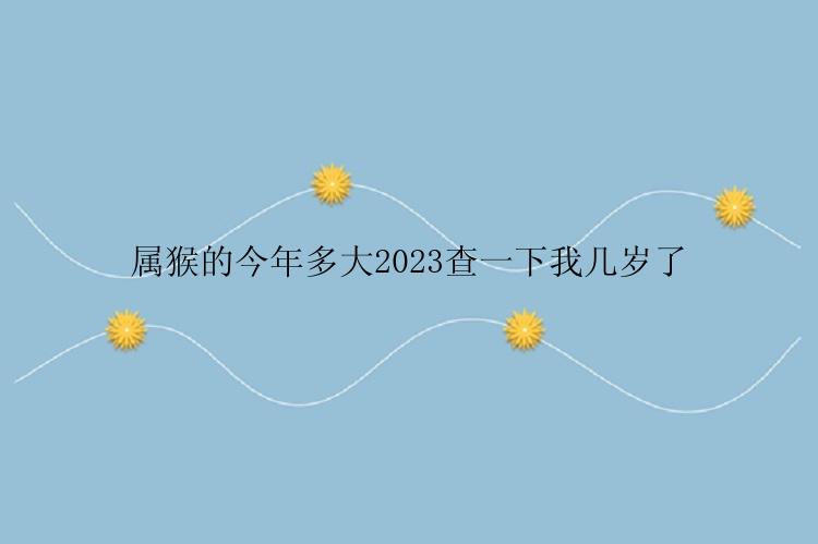 属猴的今年多大2023查一下我几岁了