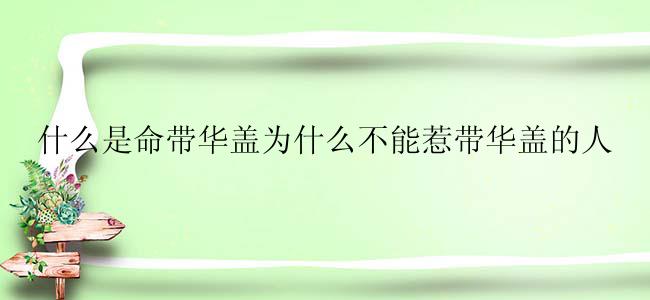 什么是命带华盖为什么不能惹带华盖的人