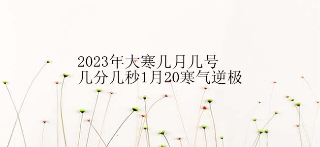 2023年大寒几月几号几分几秒1月20寒气逆极