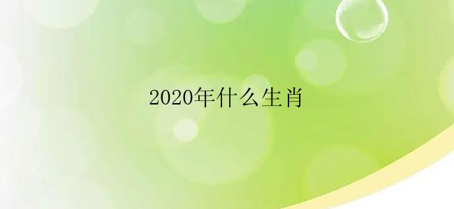 2020年什么生肖