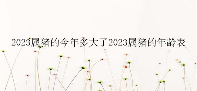 2023属猪的今年多大了2023属猪的年龄表