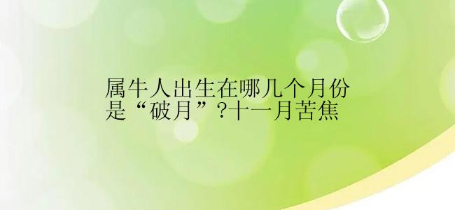 属牛人出生在哪几个月份是“破月”?十一月苦焦