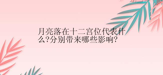 月亮落在十二宫位代表什么?分别带来哪些影响?