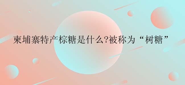 柬埔寨特产棕糖是什么?被称为“树糖”