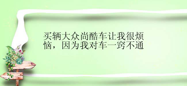 买辆大众尚酷车让我很烦恼，因为我对车一窍不通