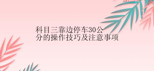 科目三靠边停车30公分的操作技巧及注意事项