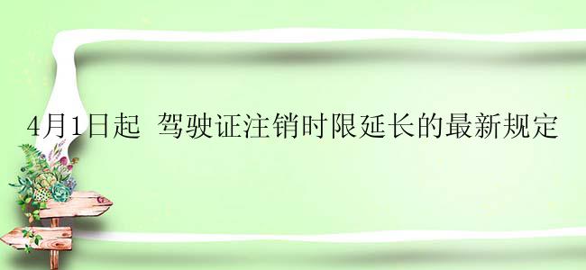 4月1日起 驾驶证注销时限延长的最新规定