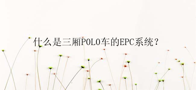 什么是三厢P0L0车的EPC系统？