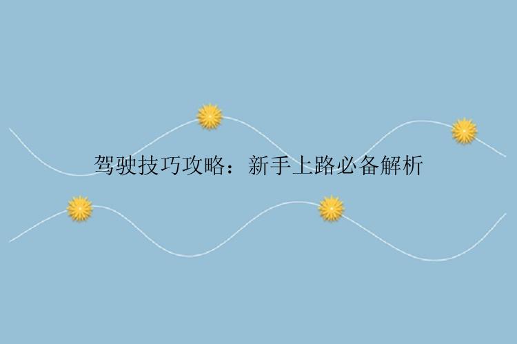 驾驶技巧攻略：新手上路必备解析