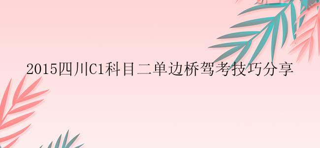 2015四川C1科目二单边桥驾考技巧分享