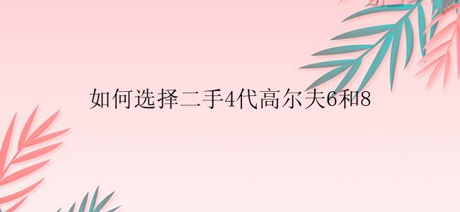 如何选择二手4代高尔夫6和8