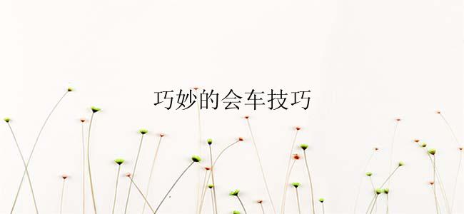 巧妙的会车技巧