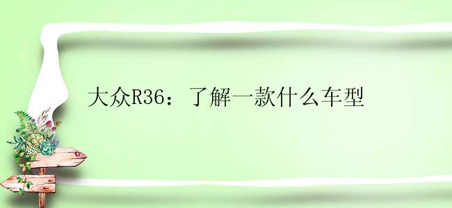 大众R36：了解一款什么车型