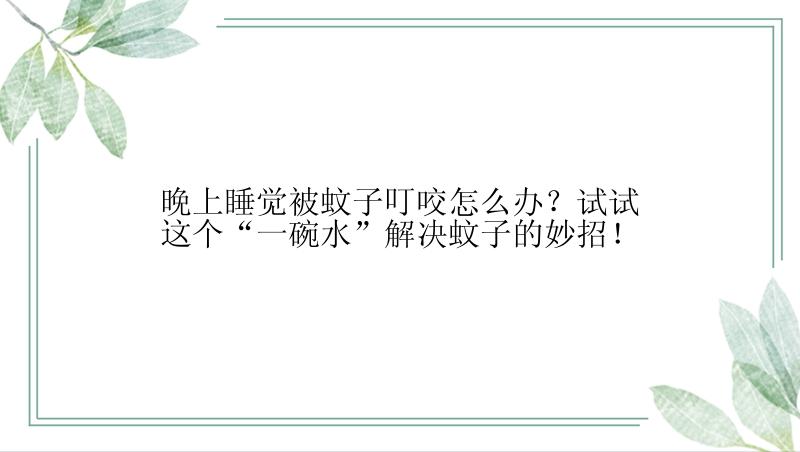 晚上睡觉被蚊子叮咬怎么办？试试这个“一碗水”解决蚊子的妙招！