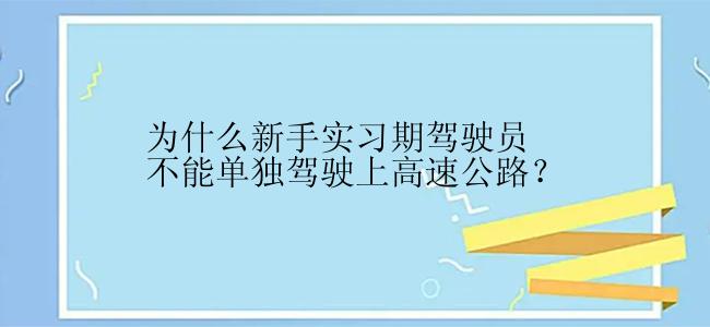 为什么新手实习期驾驶员不能单独驾驶上高速公路？