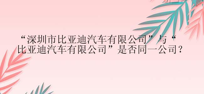 “深圳市比亚迪汽车有限公司”与“比亚迪汽车有限公司”是否同一公司？