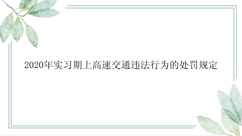 2020年实习期上高速交通违法行为的处罚规定