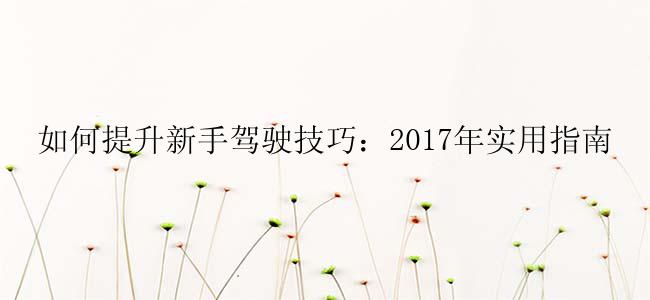 如何提升新手驾驶技巧：2017年实用指南