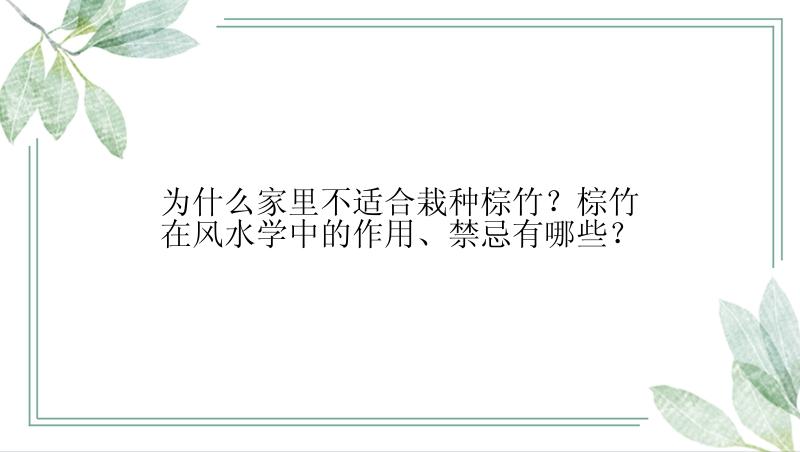 为什么家里不适合栽种棕竹？棕竹在风水学中的作用、禁忌有哪些？