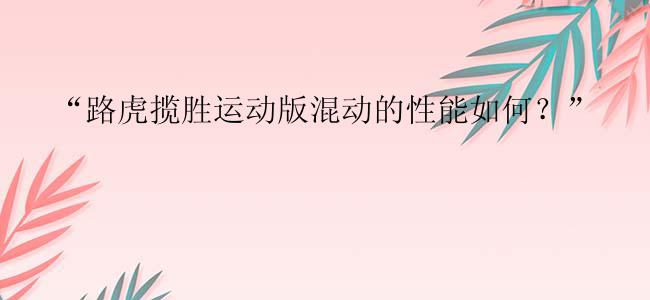 “路虎揽胜运动版混动的性能如何？”

