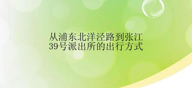 从浦东北洋泾路到张江39号派出所的出行方式