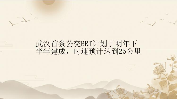 武汉首条公交BRT计划于明年下半年建成，时速预计达到25公里