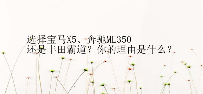 选择宝马X5、奔驰ML350还是丰田霸道？你的理由是什么？