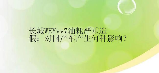 长城WEYvv7油耗严重造假：对国产车产生何种影响？