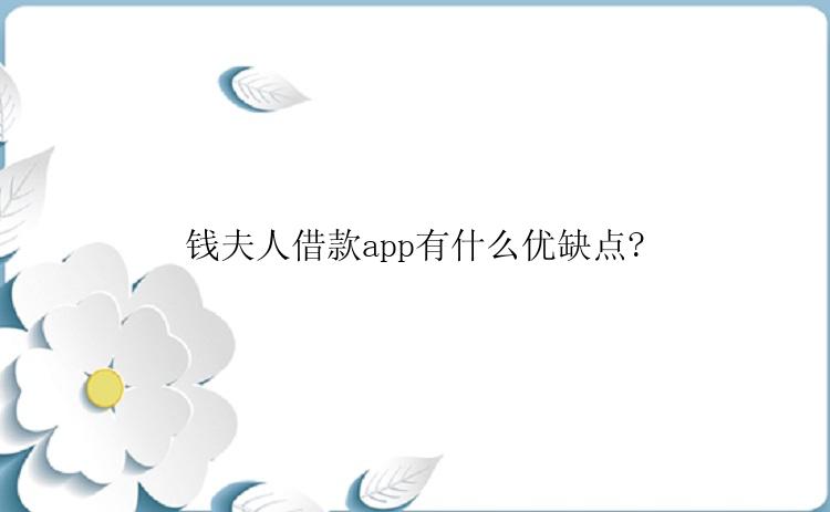 钱夫人借款app有什么优缺点?