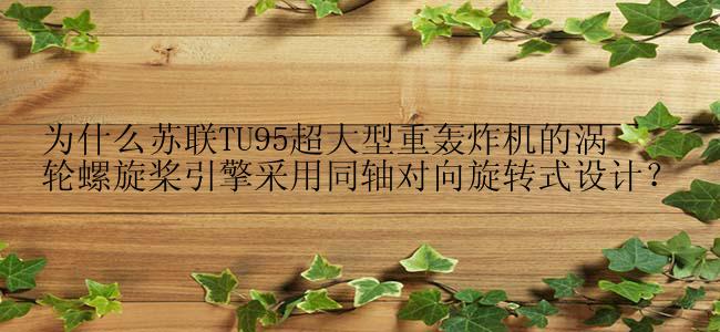 为什么苏联TU95超大型重轰炸机的涡轮螺旋桨引擎采用同轴对向旋转式设计？