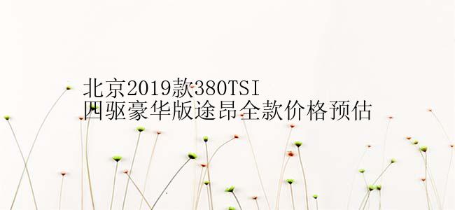 北京2019款380TSI四驱豪华版途昂全款价格预估