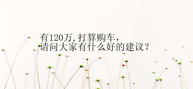 有120万,打算购车，请问大家有什么好的建议？