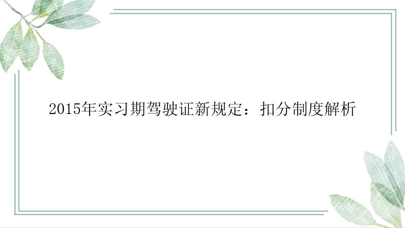 2015年实习期驾驶证新规定：扣分制度解析