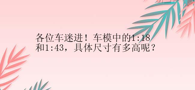 各位车迷进！车模中的1:18和1:43，具体尺寸有多高呢？