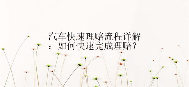 汽车快速理赔流程详解：如何快速完成理赔？