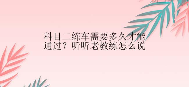 科目二练车需要多久才能通过？听听老教练怎么说