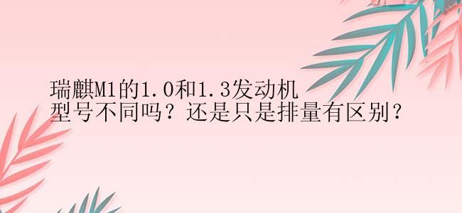 瑞麒M1的1.0和1.3发动机型号不同吗？还是只是排量有区别？