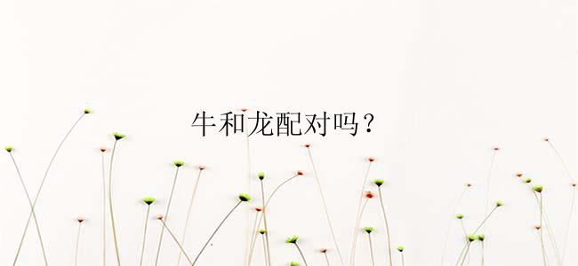 牛和龙配对吗？