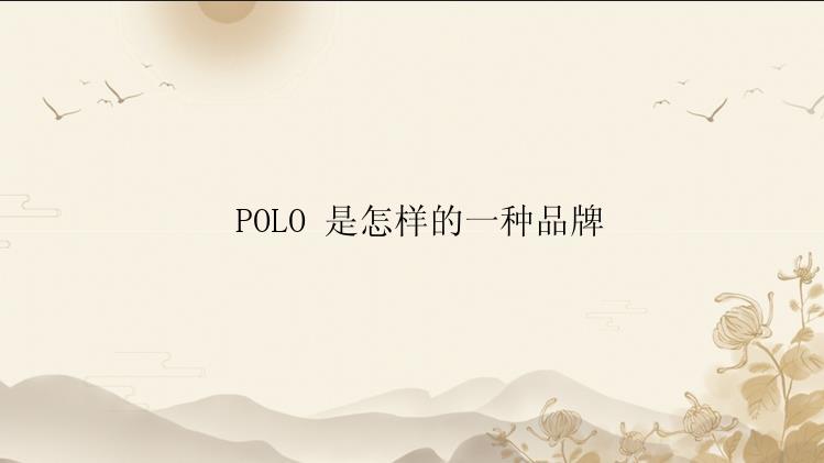  POLO 是怎样的一种品牌