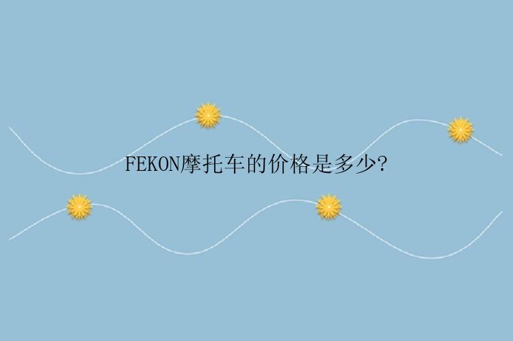 FEKON摩托车的价格是多少?