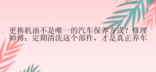 更换机油不是唯一的汽车保养方式？修理师傅：定期清洗这个部件，才是真正养车