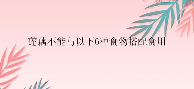 莲藕不能与以下6种食物搭配食用