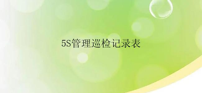 5S管理巡检记录表