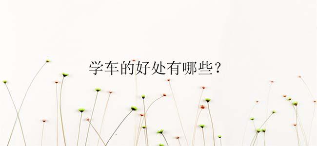 学车的好处有哪些？