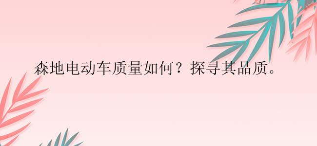 森地电动车质量如何？探寻其品质。