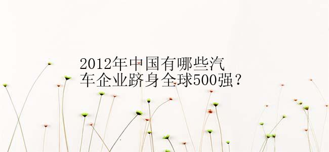 2012年中国有哪些汽车企业跻身全球500强？