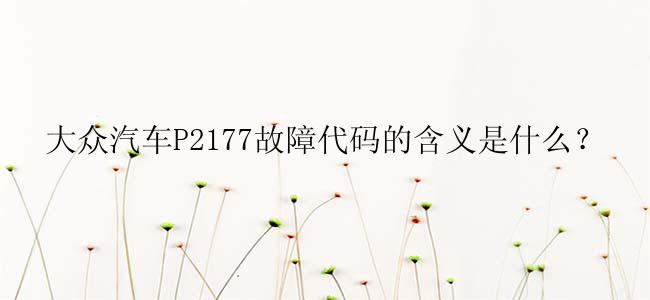 大众汽车P2177故障代码的含义是什么？