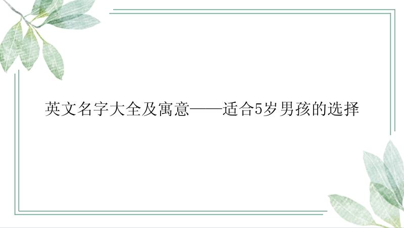 英文名字大全及寓意——适合5岁男孩的选择