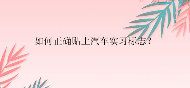 如何正确贴上汽车实习标志？