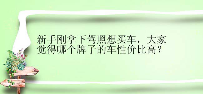 新手刚拿下驾照想买车，大家觉得哪个牌子的车性价比高？